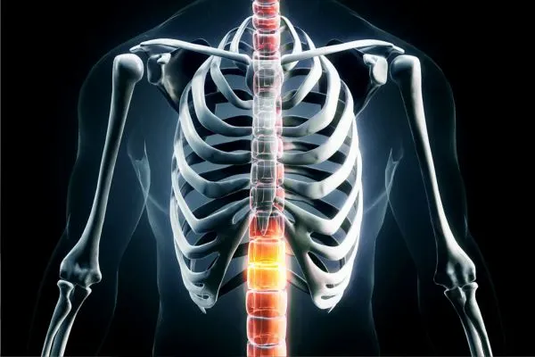 Common Symptoms and Conditions Treated